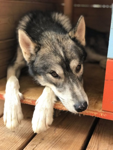 WhatsApp-Image-2021-09-20-at-20.23.04