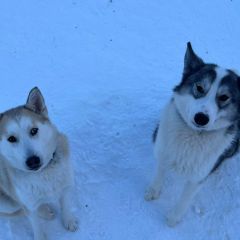 WhatsApp-Image-2026-03-13-at-08.06.15 WhatsApp-Image-2026-03-13-at-08.06.15