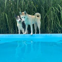 WhatsApp-Image-2026-03-13-at-08.06.20 WhatsApp-Image-2026-03-13-at-08.06.20