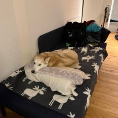 WhatsApp-Image-2026-03-13-at-08.11.041 WhatsApp-Image-2026-03-13-at-08.11.041