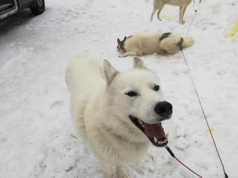 86212845_179648520029378_2754158782266212352_n