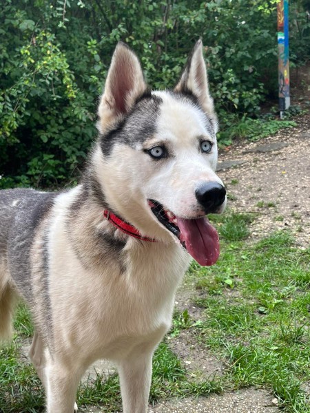 306590408_1109827133295944_3052848049441372778_n