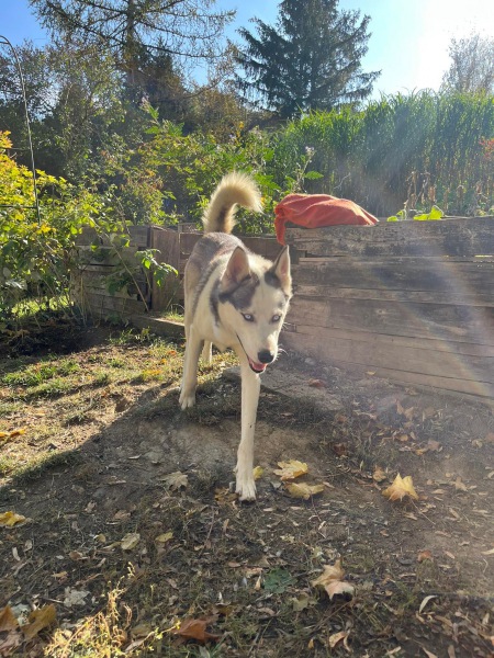 310807978_1229579174557890_6288079730003706425_n