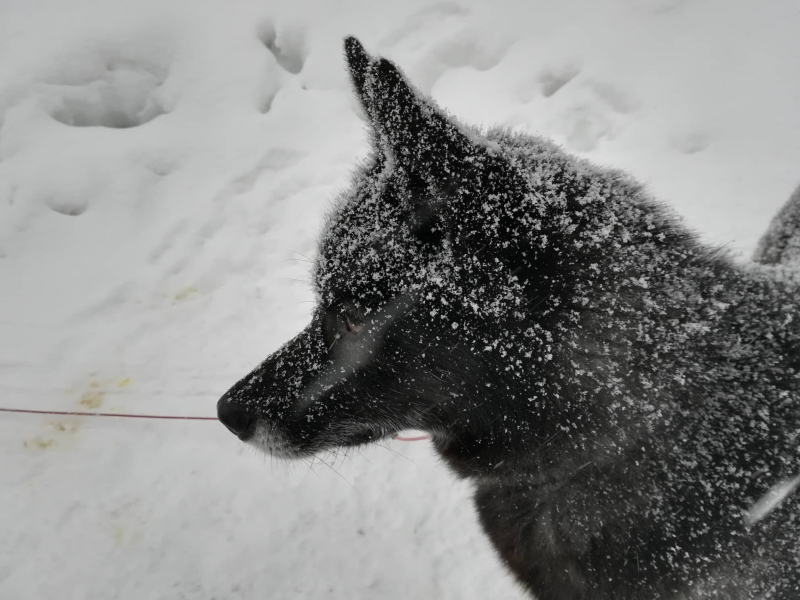 83371433_403439850500221_4378377261695369216_n