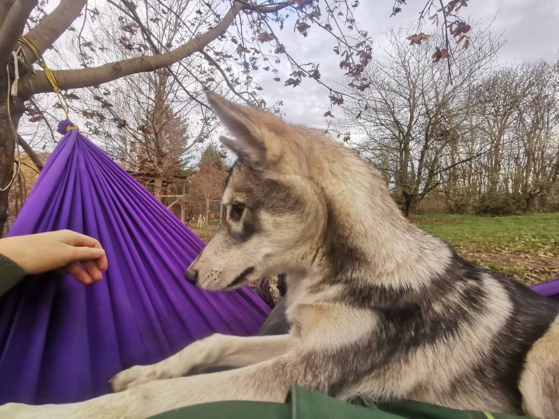 316178526_1128766538026784_7485456045388628799_n