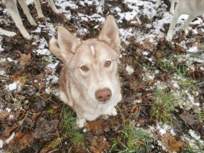 316602089_817418436001359_482898711740450021_n