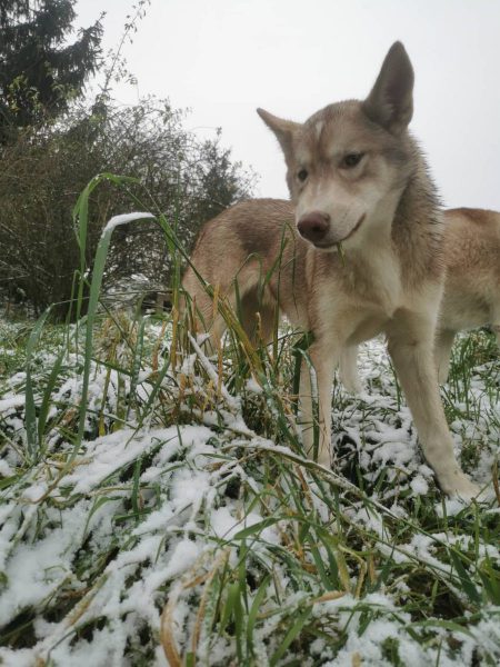 316608822_833539394521943_4466621649051555437_n