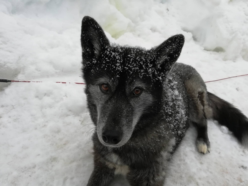 85243567_885284318556751_7134802468138909696_n