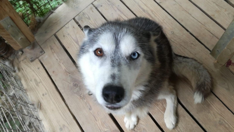 67352338_1320398554767890_996862377553035264_n