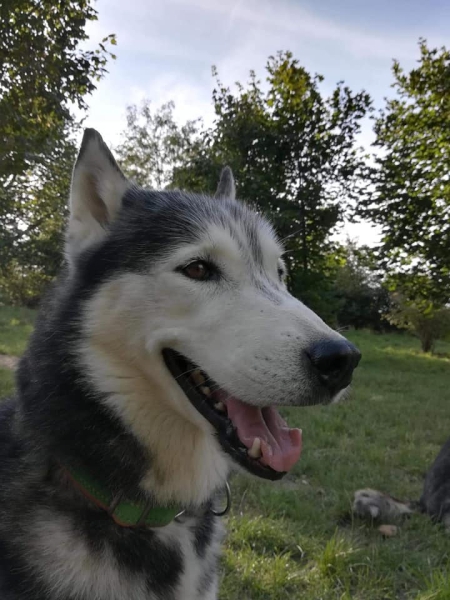 41390207_1873027089399531_8897566233075908608_n