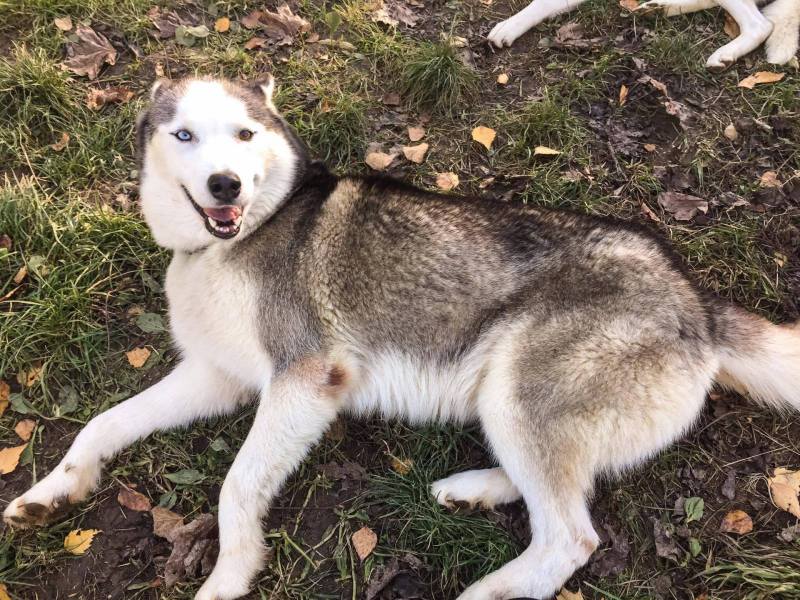 14853106_1143992175636363_1597588379111954562_o