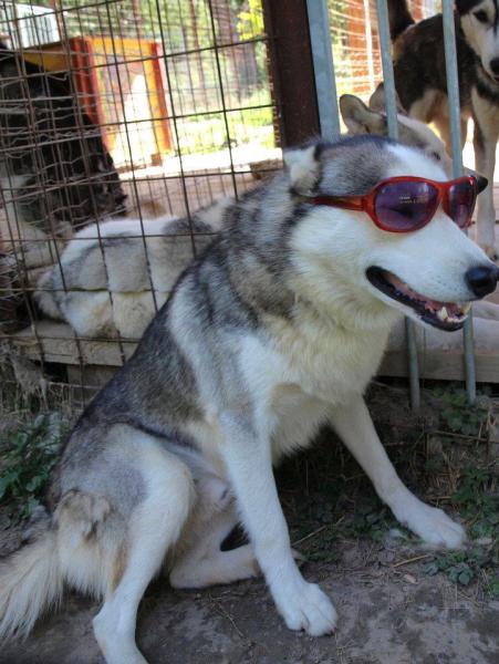 581248_488112024539720_434551702_n