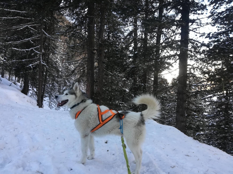 84132618_2541449912781023_9121975864815255552_n